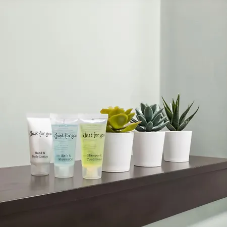 296 - بيت للعطل